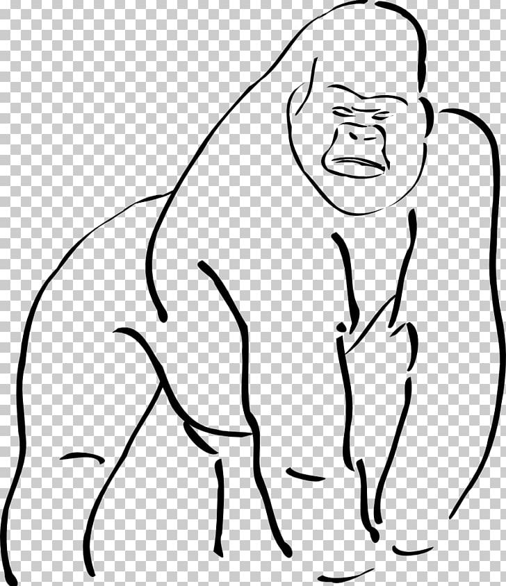 Mountain Gorilla Ape Drawing PNG, Clipart, Animals, Ape, Arm, Black, Cartoon Free PNG Download
