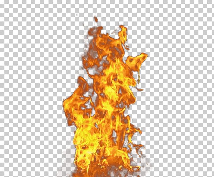Fire Flame Detector Life PNG, Clipart, Combustion, Computer Wallpaper, Death, Edit, Facebook Instagram Free PNG Download