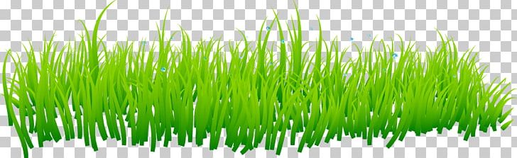 Grass Lawn PNG, Clipart, Artificial Grass, Cartoon, Cartoon Grass,  Commodity, Creative Grass Free PNG Download