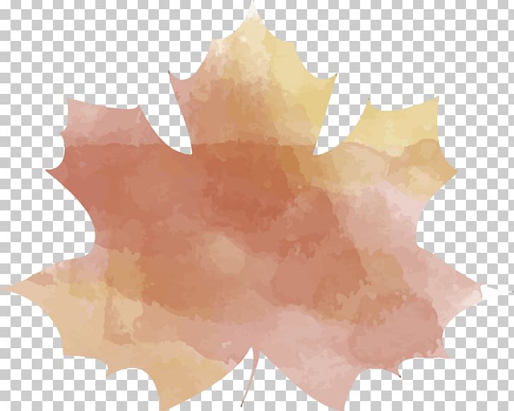 Maple Leaf PNG, Clipart, Leaf, Maple, Maple Leaf, Mark Collie, Others Free PNG Download