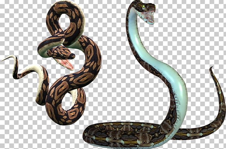 Snake PNG, Clipart, Animals, Boa Constrictor, Boas, Body Jewelry, Cobra Free PNG Download