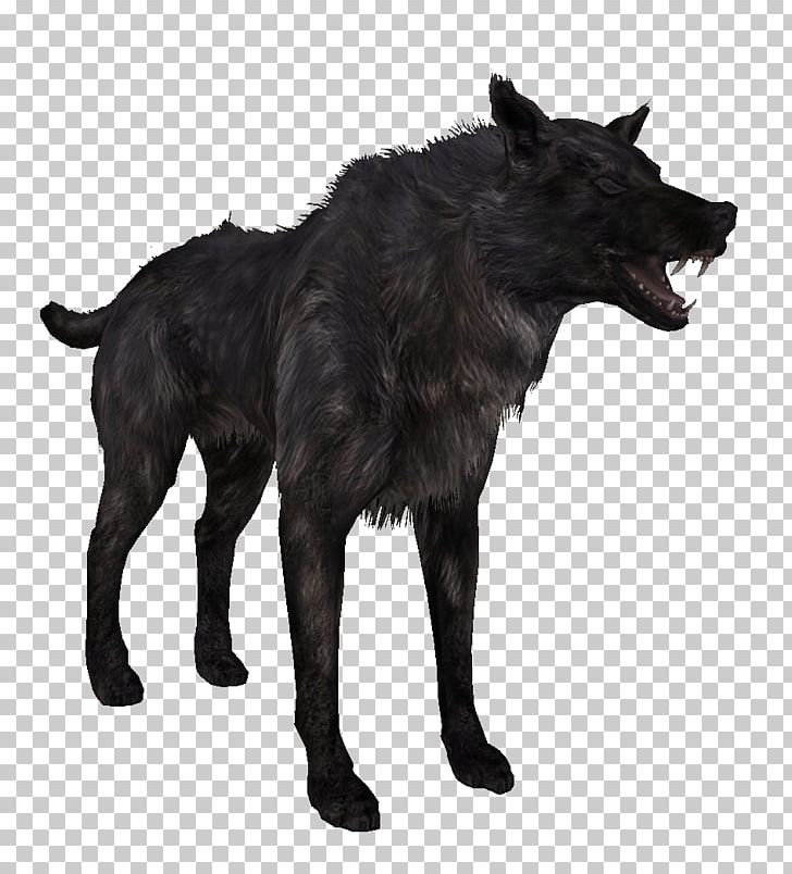 The Elder Scrolls V: Skyrim Oblivion WolfQuest Mod Pack PNG, Clipart, Animals, Arctic Wolf, Black Wolf, Dog, Dog Breed Free PNG Download