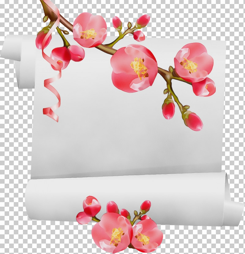 Cherry Blossom PNG, Clipart, Blossom, Cerasus, Cherry, Cherry Blossom, Flower Free PNG Download