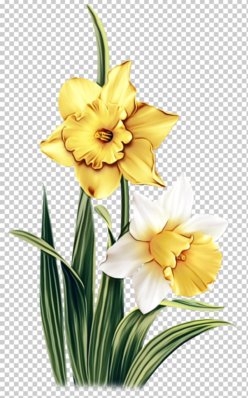Floral Design PNG, Clipart, Cut Flowers, Daylilies, Floral Design, Flower, Flower Bouquet Free PNG Download