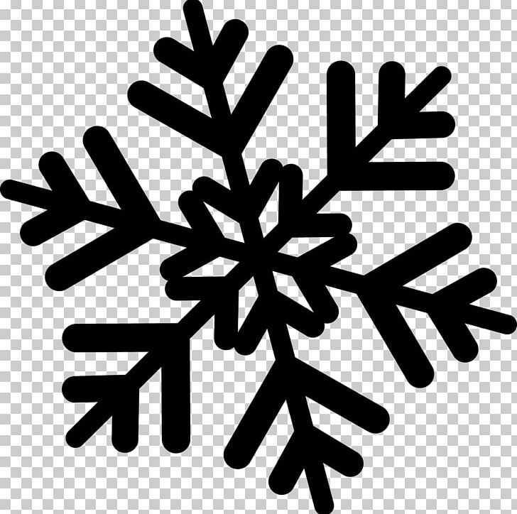 Snowflake PNG, Clipart, Black And White, Blue, Computer Icons, Flocos De Neve, Line Free PNG Download
