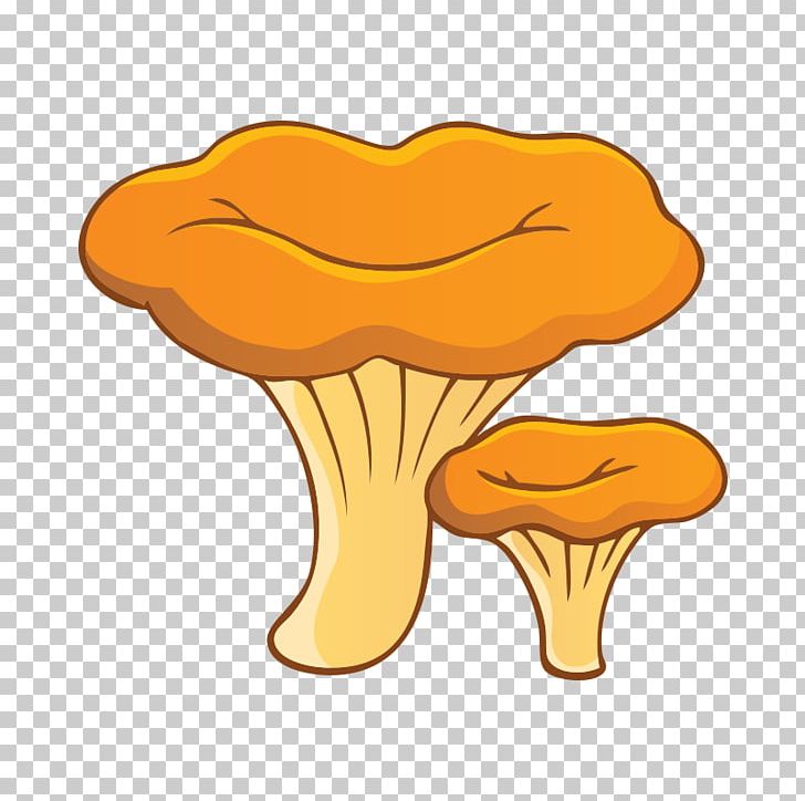 Chanterelle Fungus Edible Mushroom Morchella PNG, Clipart, Amanita, Aspen Mushroom, Boletus, Brown Cap Boletus, Cartoon Free PNG Download
