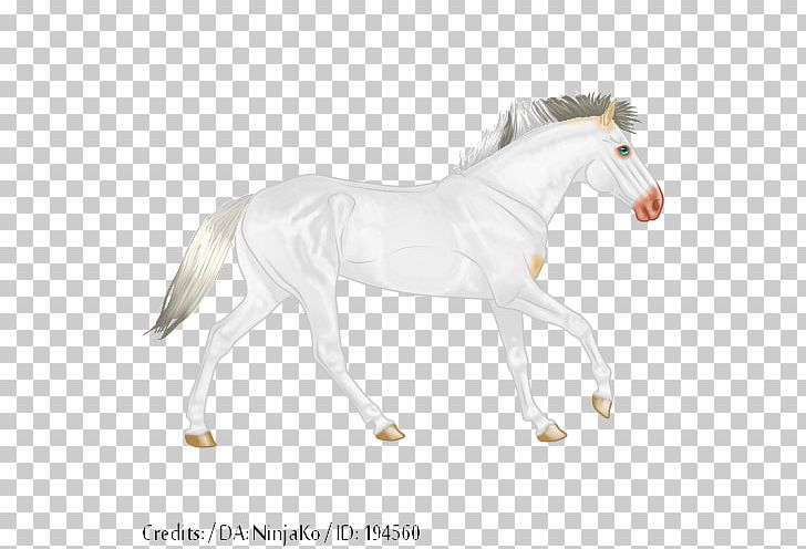 Mustang Foal Stallion Mare Halter PNG, Clipart, Animal Figure, Bridle, Foal, Halter, Horse Free PNG Download