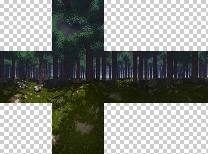 Sven Co-op Skybox Forest Texture Mapping PNG, Clipart, Angle, Architecture, Biome, Computer Wallpaper, Desktop Wallpaper Free PNG Download