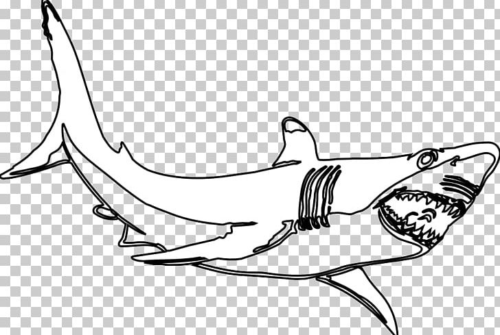 Great White Shark Black And White Hammerhead Shark PNG, Clipart, Art, Black, Black And White, Bull Shark, Coloring Book Free PNG Download