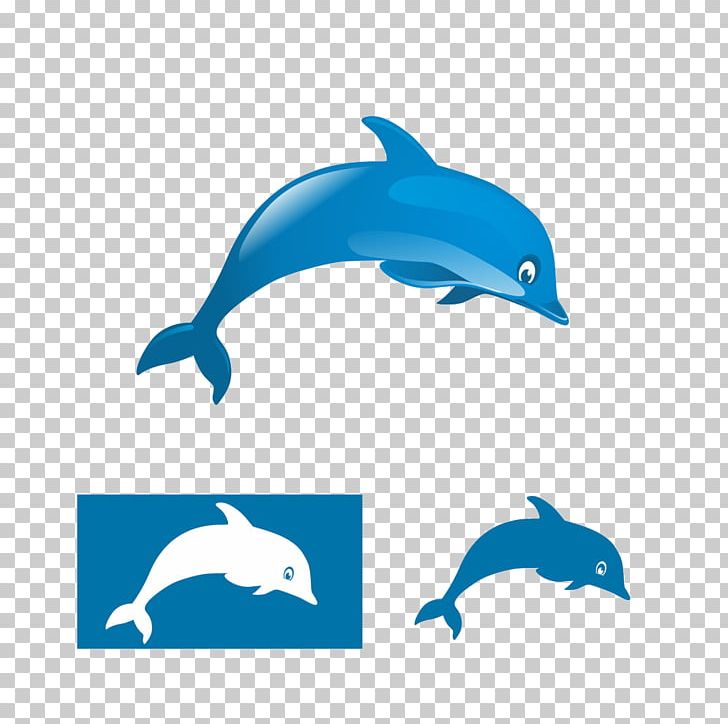 Logo Dolphin Illustration PNG, Clipart, Animals, Animation, Beak, Blue, Cartoon Free PNG Download