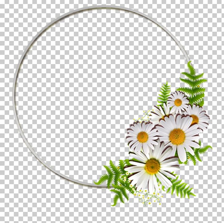 Photography PNG, Clipart, Albom, Cut Flowers, Daisy, Flora, Floral Design Free PNG Download