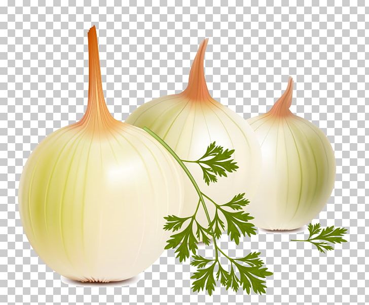 Onion Shashlik Vegetable PNG, Clipart, Allium Fistulosum, Cauliflower, Cuisine, Food, Fruit Free PNG Download