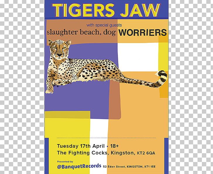 Slaughter Beach PNG, Clipart, Advertising, Animal, Animals, Area, Big Cat Free PNG Download