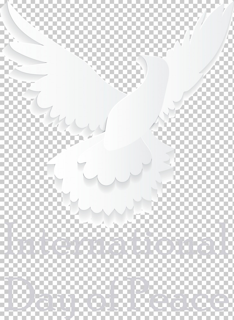 Feather PNG, Clipart, Beak, Biology, Bird Of Prey, Birds, Black And White Free PNG Download