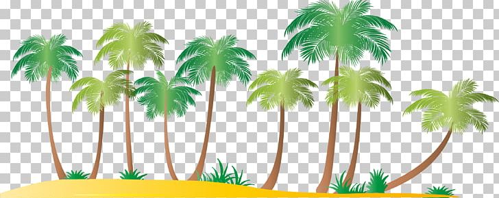 Arecaceae Ko Samui Coconut Beach PNG, Clipart, Arecaceae, Arecales, Beach, Coconut, Coconut Tree Free PNG Download