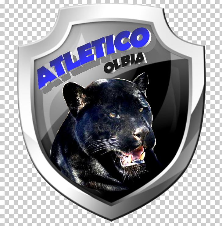 Olbia Serie D Serie A Atlético Madrid Girone PNG, Clipart, Big Cats, Black Panther, Brand, Carnivoran, Cat Like Mammal Free PNG Download