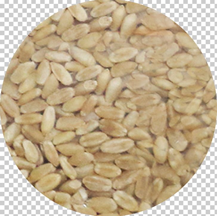 Peanut Cereal Germ Ingredient Seed PNG, Clipart, Cereal Germ, Commodity, Embryo, Ingredient, Miscellaneous Free PNG Download