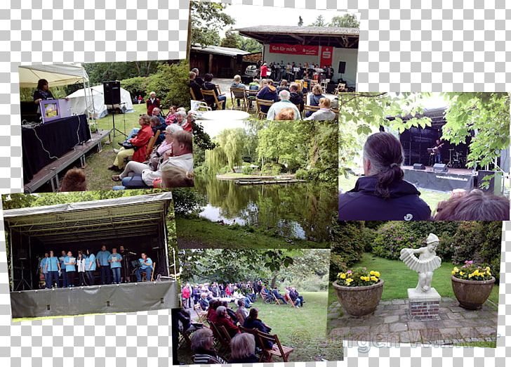Tree Backyard Recreation Leisure Lawn PNG, Clipart, Backyard, Community, Garden, Grass, Landscape Free PNG Download