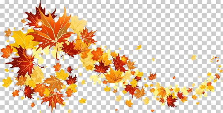 Autumn Leaf Color PNG, Clipart, Autumn, Autumn Leaves, Branch, Clipart, Computer Wallpaper Free PNG Download