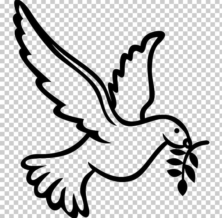 Columbidae Bird Doves As Symbols Domestic Pigeon PNG, Clipart, Animals, Art, Beak, Bird, Bird Flight Free PNG Download