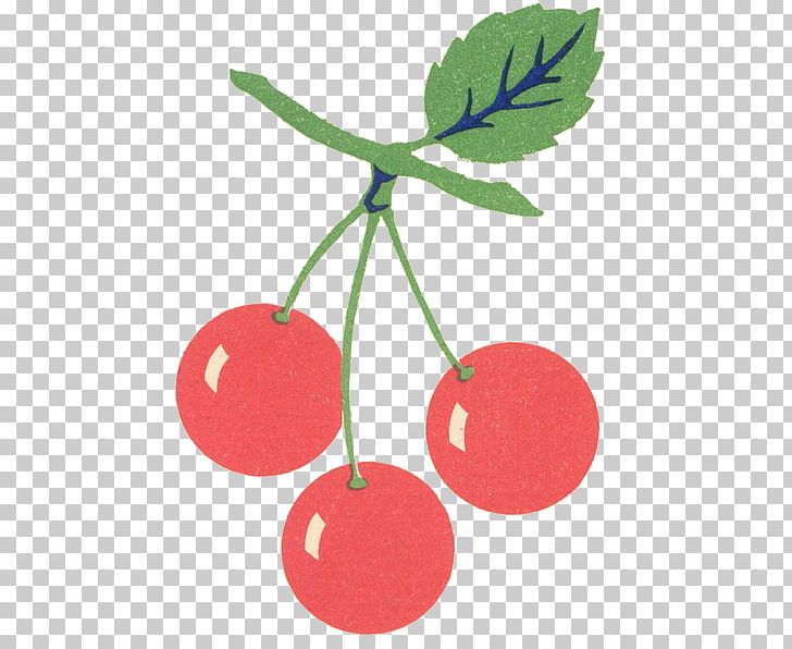 Cherry PNG, Clipart, Art, Cherry, Desktop Wallpaper, Drawing, Food Free PNG Download