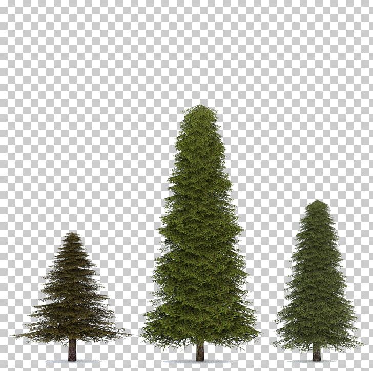 Fir Spruce Pine Tree PNG, Clipart, 3d Computer Graphics, 3d Modeling, Biome, Christmas Decoration, Christmas Tree Free PNG Download