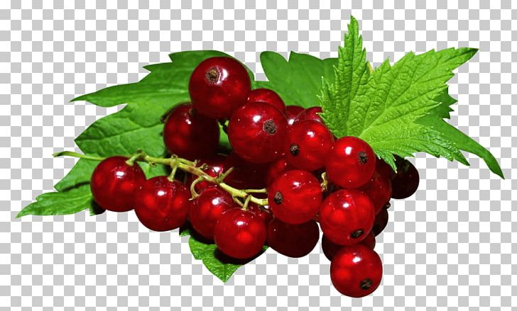 Gooseberry Zante Currant Redcurrant Blackcurrant Juice PNG, Clipart, Berry, Blackberry, Blackcurrant, Boysenberry, Cherry Free PNG Download