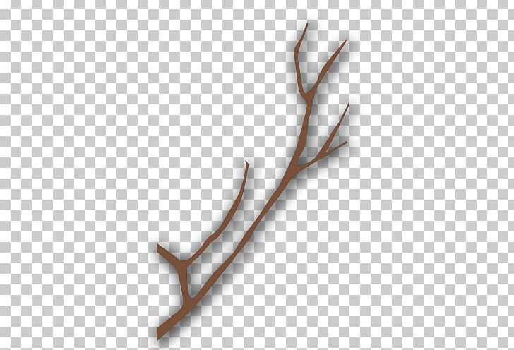 Gray Tree Branch PNG, Clipart, Branch, Branches, Christmas Tree, Coconut Tree, Designer Free PNG Download