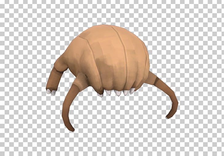 Terrestrial Animal Snout Pest PNG, Clipart, Animal, Backpack, Headache, Organism, Others Free PNG Download