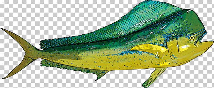 Bait Fish Mahi-mahi Yellowfin Tuna Striped Marlin PNG, Clipart, Animal Figure, Atlantic Blue Marlin, Bigeye Tuna, Biggame Fishing, Black Marlin Free PNG Download