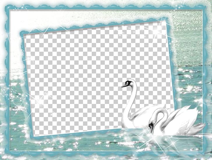 Cygnini Frames PNG, Clipart, Animals, Art, Bird, Craft, Cygnini Free PNG Download