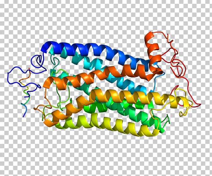 Tachykinin Receptor 1 Tachykinin Peptides NK1 Receptor Antagonist PNG, Clipart, Acetylcholine Receptor, Agonist, Antagonist, Art, Bead Free PNG Download