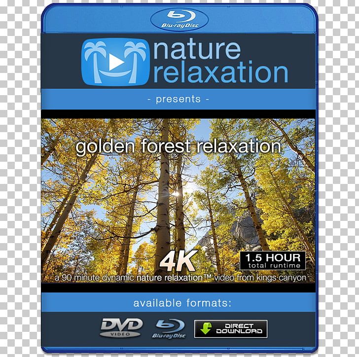 4K Resolution 1080p High-definition Video High-definition Television Display Resolution PNG, Clipart, 4k Resolution, 1080p, Display Resolution, Film, Highdefinition Television Free PNG Download