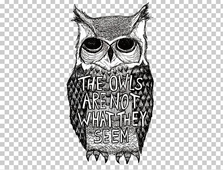 A Wise Old Owl YouTube Bird PNG, Clipart, Animal, Animals, Art, Beak, Bird Free PNG Download
