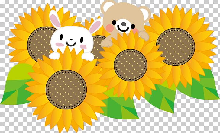 Child Care Common Sunflower Jardin D'enfants Pre-school PNG, Clipart,  Free PNG Download