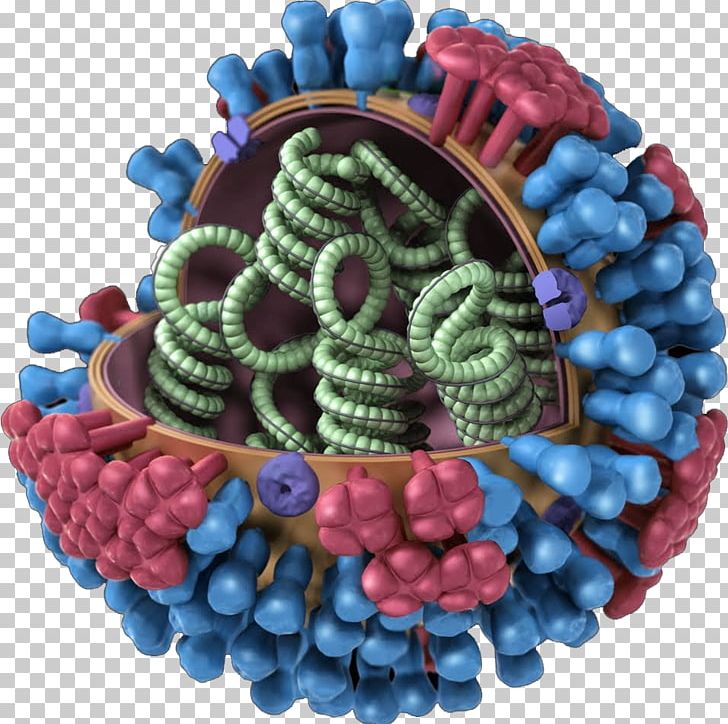 Influenza Vaccine Influenza A Virus Subtype H3N2 Flu Season PNG, Clipart, Fruit, Hemagglutinin, Infection, Influenza, Influenza A Virus Subtype H1n1 Free PNG Download