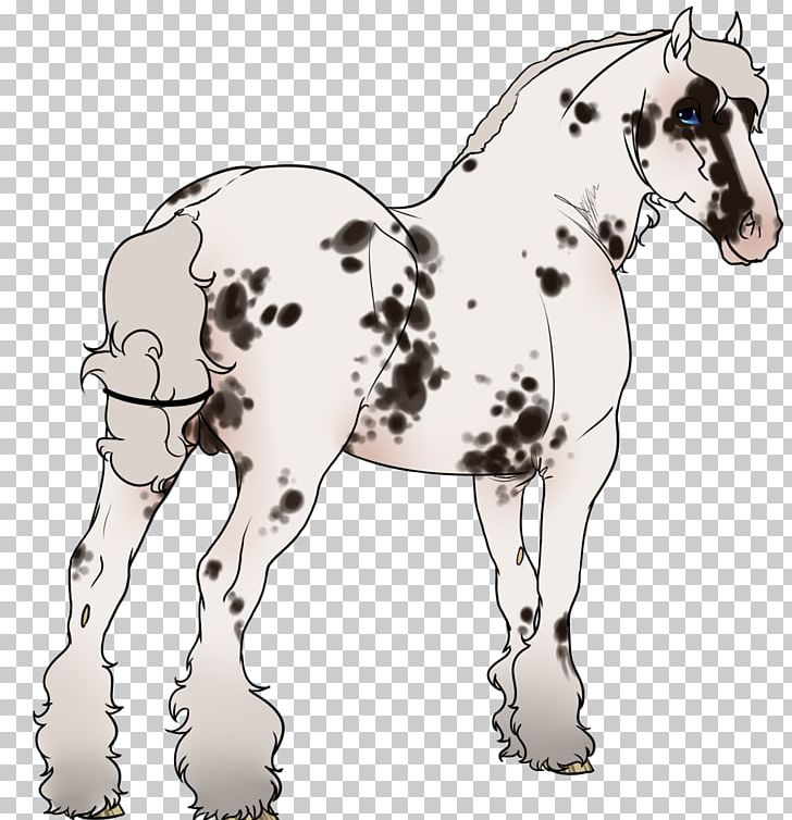Mule Foal Mustang Stallion Colt PNG, Clipart, Animal Figure, Appaloosa Spirit, Bridle, Colt, Florida Kraze Krush Soccer Club Free PNG Download