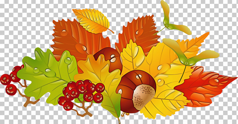 Plane PNG, Clipart, Autumn, Berry, Flower, Food, Fruit Free PNG Download