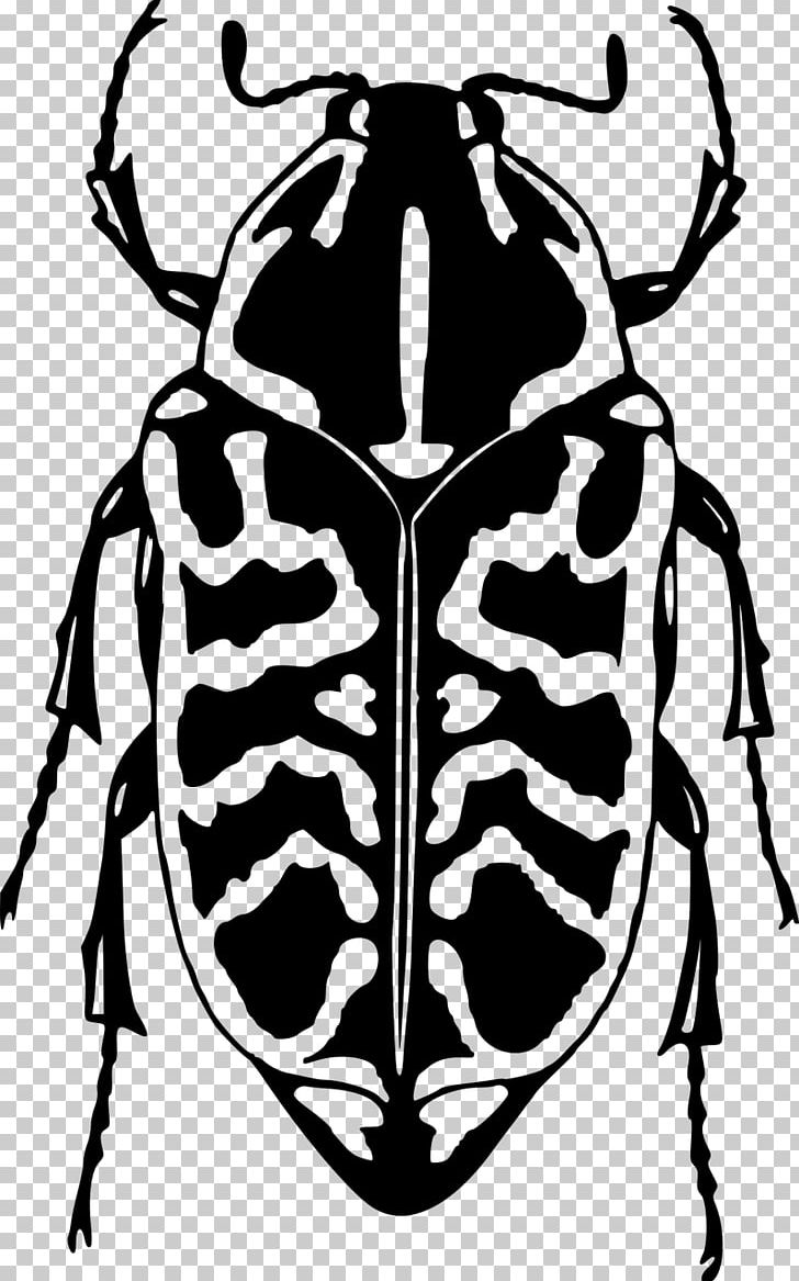 Beetle Ladybird PNG, Clipart, Animal, Animals, Beetle, Black And White, Drawing Free PNG Download