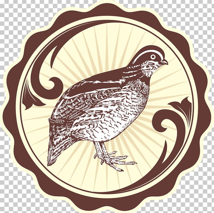 Quail Eggs Bird Landfowl PNG, Clipart, Angkringan, Animals, Beak, Bird, Bird Of Prey Free PNG Download