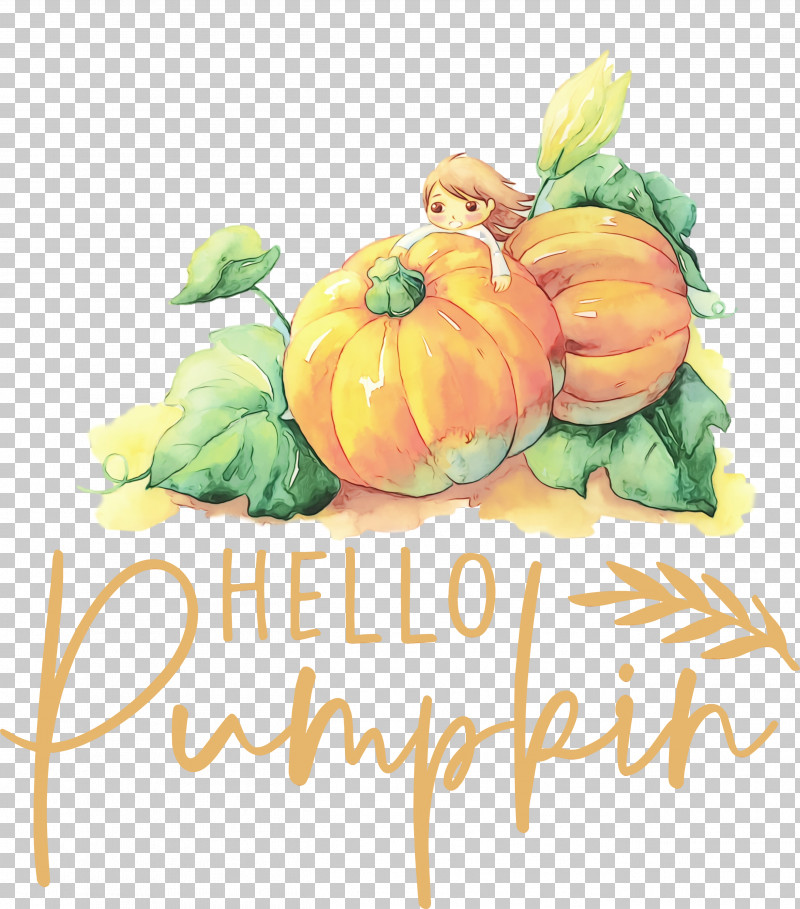 Pumpkin PNG, Clipart, Autumn, Courge, Drawing, Field Pumpkin, Jackolantern Free PNG Download