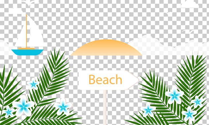 Beach Summer Vacation PNG, Clipart, Arecaceae, Beach Vector, Branch, Christmas Tree, Conifer Free PNG Download
