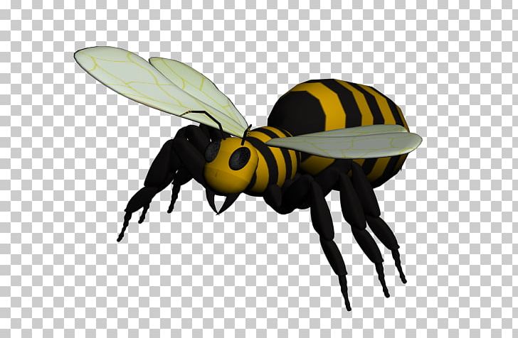 Beetle Wasp Weevil YCombinator PNG, Clipart, Arthropod, Bee, Beetle, Fly, Insect Free PNG Download