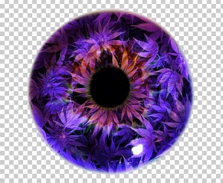 Iris Eye Pupil Violet Lens PNG, Clipart, 2016, 2017, 2018, Dislike, Eye Free PNG Download