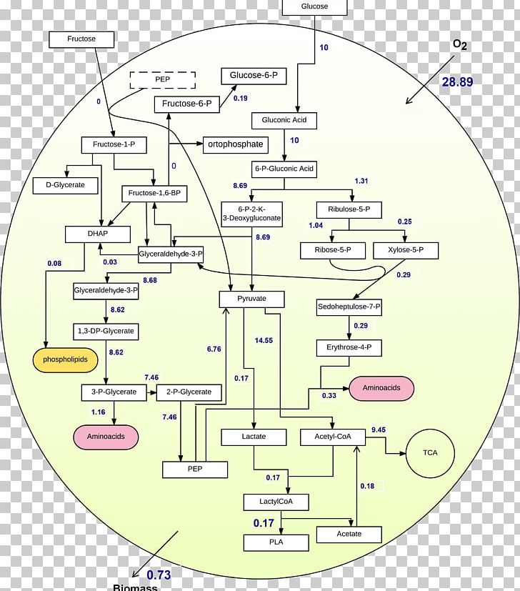 Line Angle Diagram PNG, Clipart, Angle, Area, Art, Diagram, Line Free PNG Download