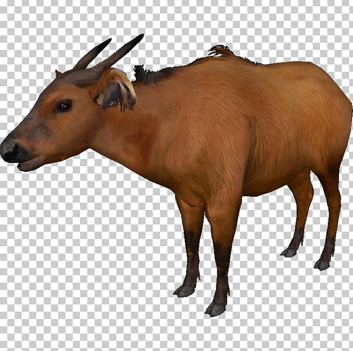 Zoo Tycoon 2 Cattle Water Buffalo American Bison African Buffalo PNG, Clipart, African Buffalo, American Bison, Animal, Bison, Bovinae Free PNG Download