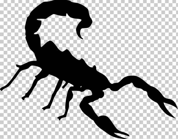 Scorpion PNG, Clipart, Arachnid, Artwork, Black And White, Blog, Clip Art Free PNG Download