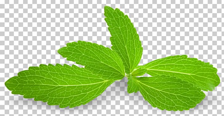 Stevia Candyleaf Sugar Substitute Extract Steviol Glycoside PNG, Clipart, Acesulfame Potassium, Aspartame, Calorie, Extract, Food Free PNG Download