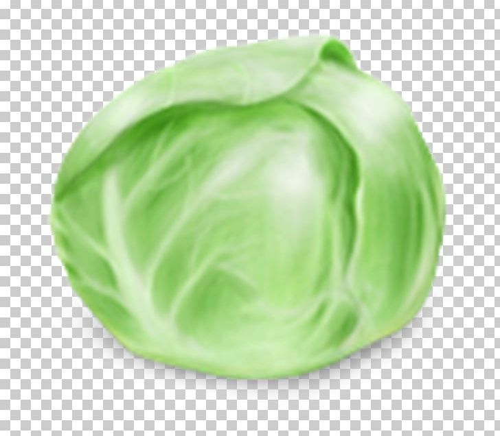 Cabbage Computer Icons Vegetable Food PNG, Clipart, Cabbage, Computer Icons, Food, Fruit, Green Free PNG Download