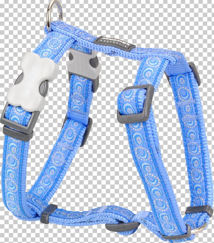 Dog Harness Dingo Puppy Dog Collar PNG, Clipart, Animals, Blue, Collar, Cosmos, Dingo Free PNG Download